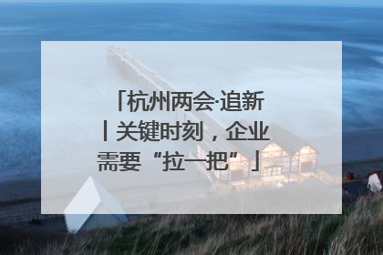杭州两会·追新丨关键时刻，企业需要“拉一把”